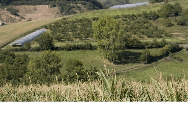 Cuidado del terreno