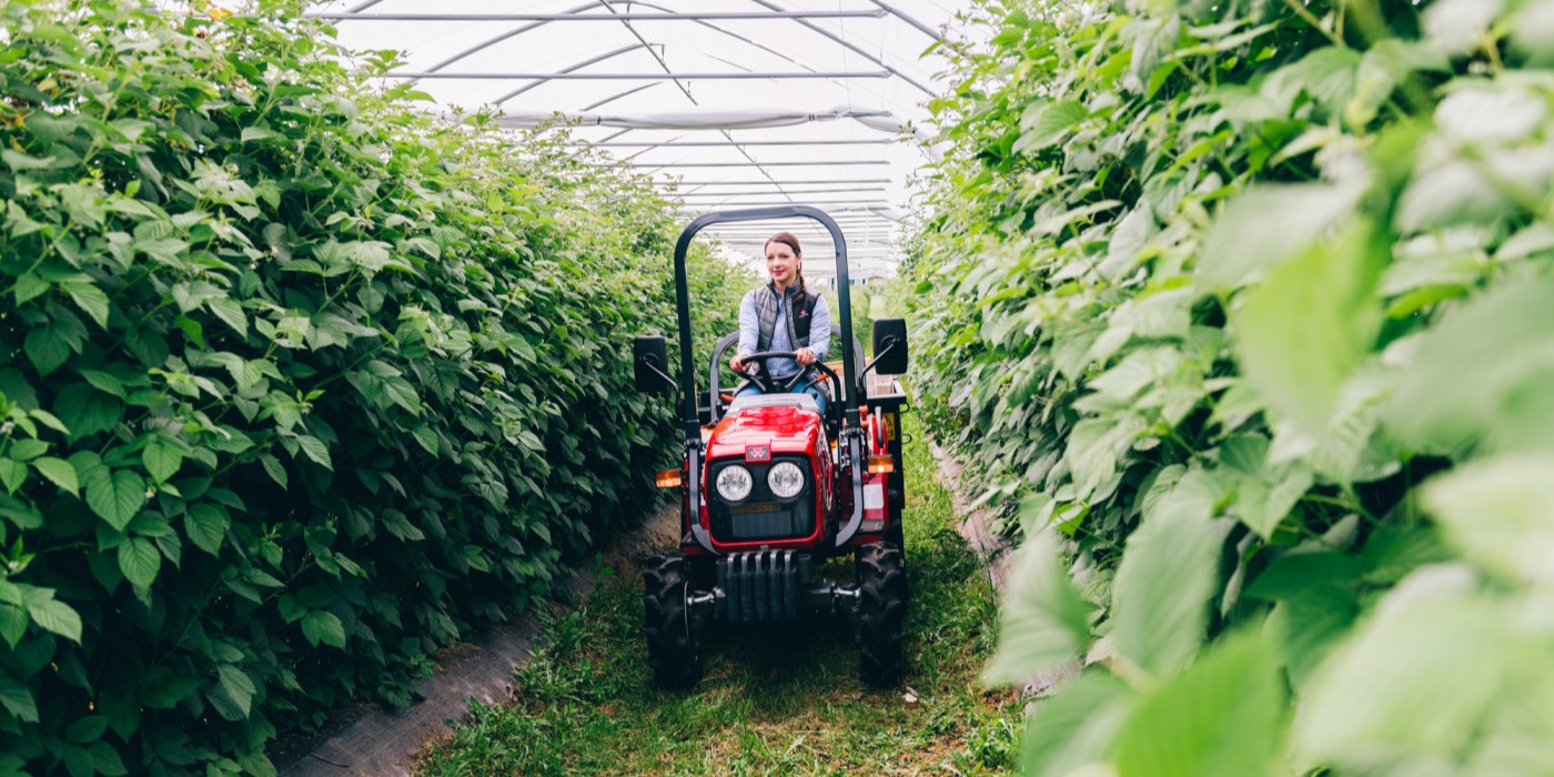 Evolutions des faneuses Alpine et des faucheuses Massey Ferguson