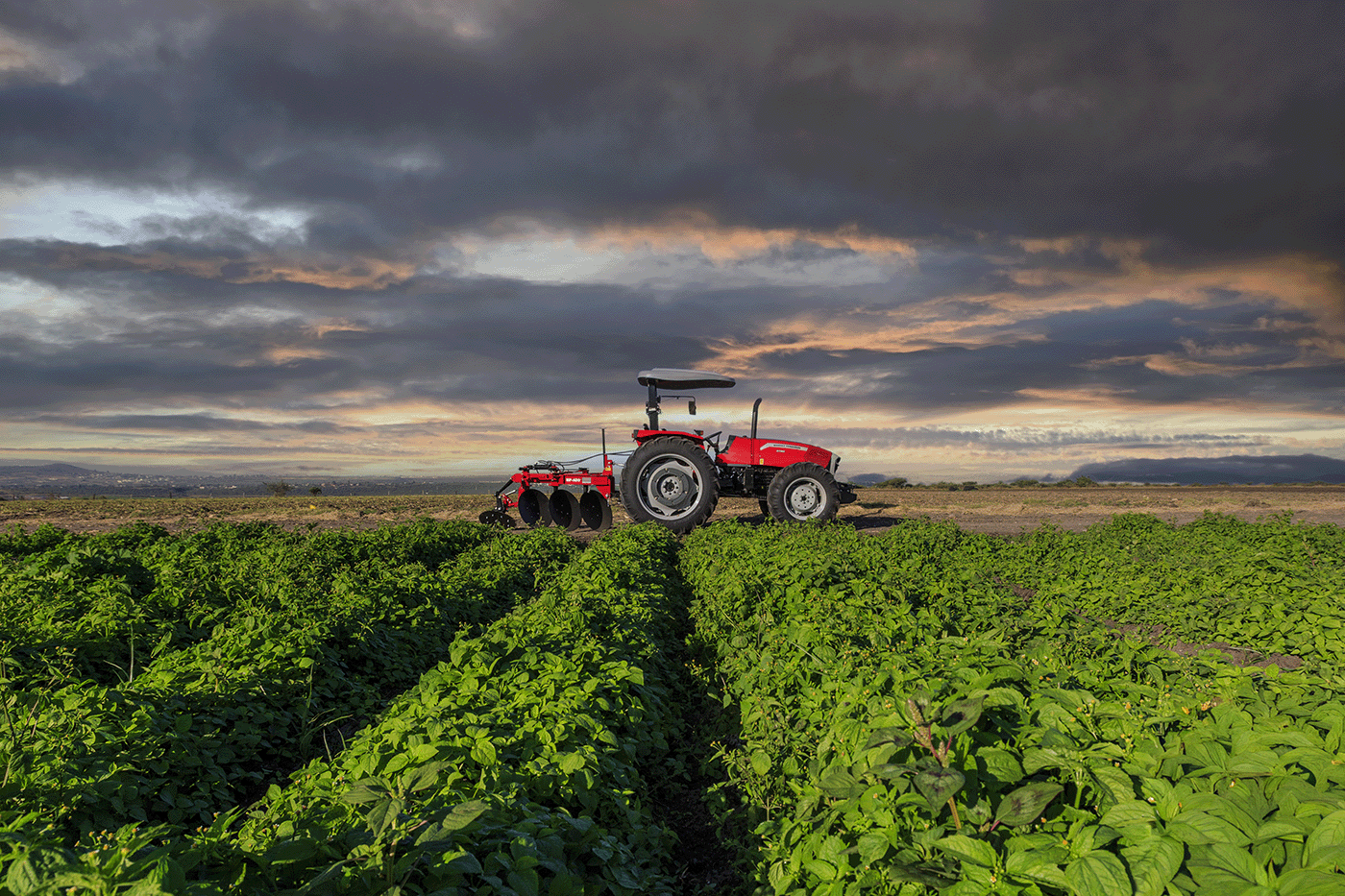 Built to Work, Day After Day