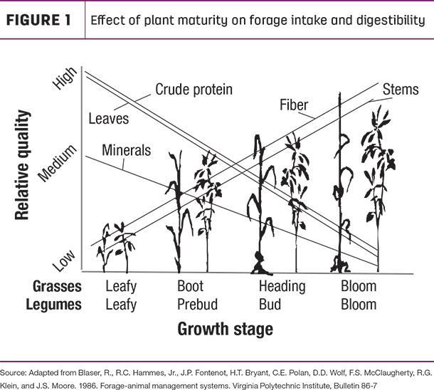 Plant Maturity Chart