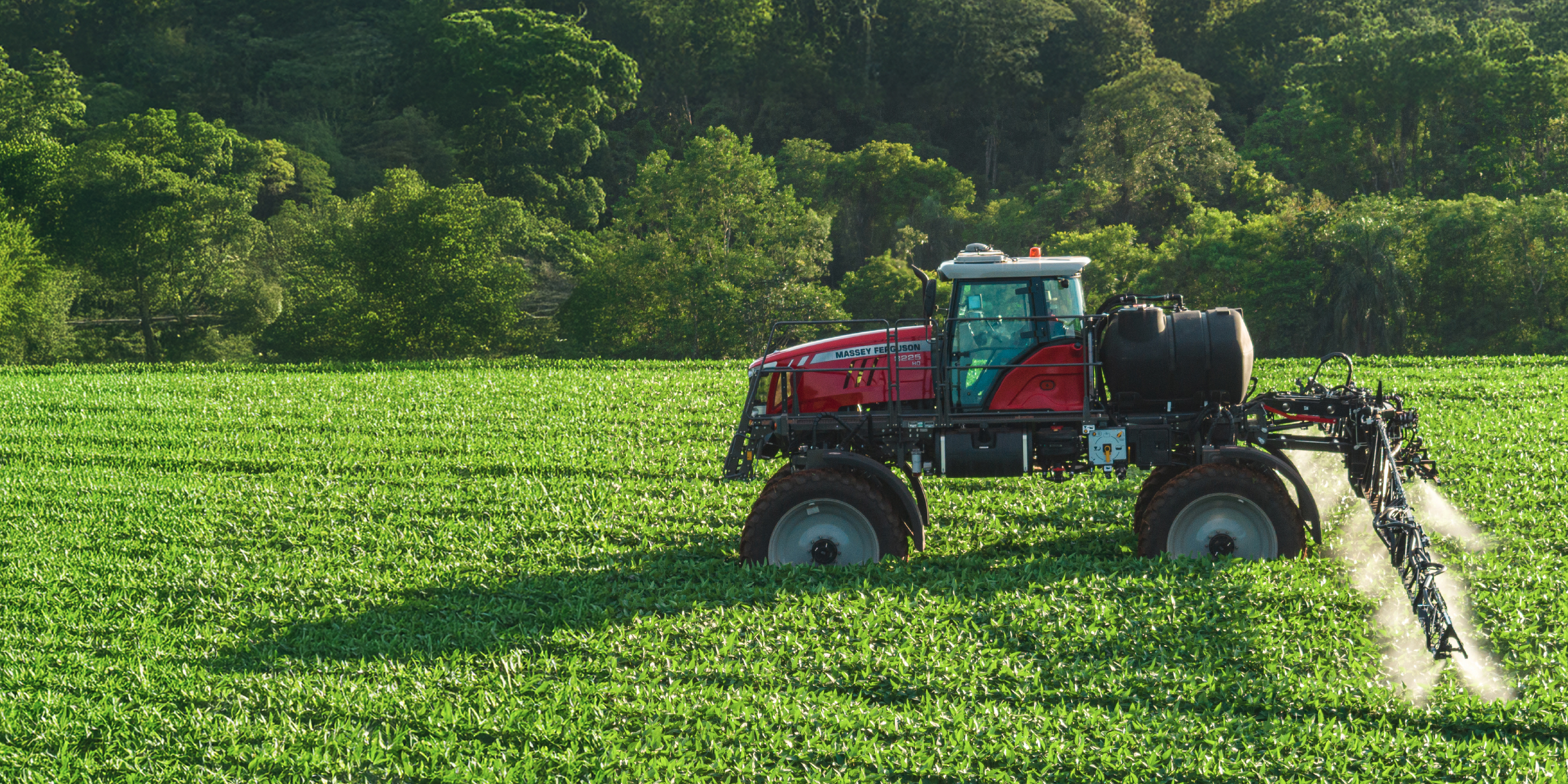 BANNERS PRODUCTOS WEBSTIE
