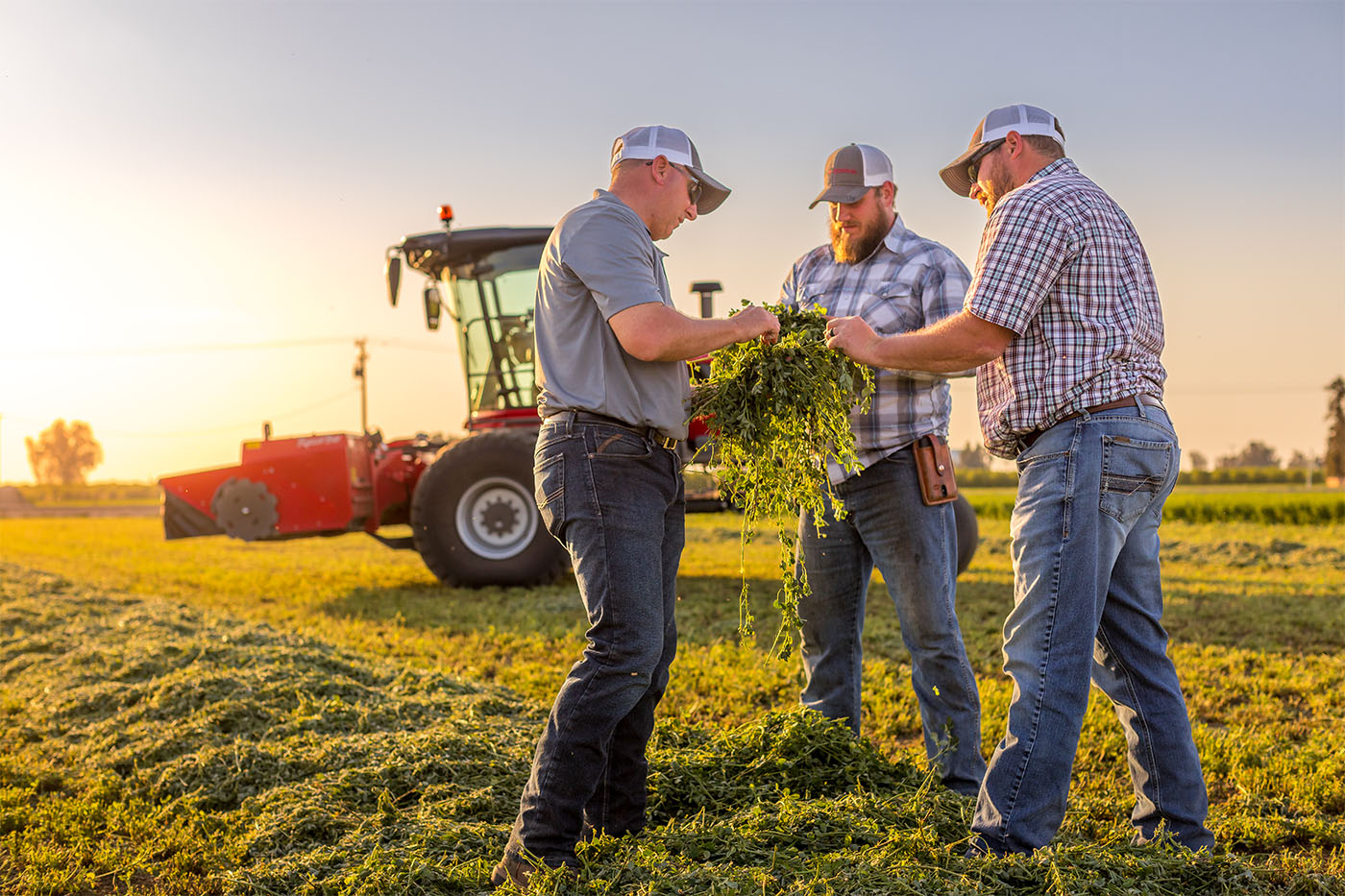 Intuitivo y fácil de operar