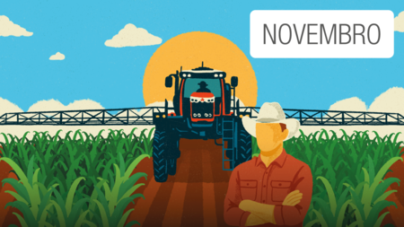 Novembro 2026
