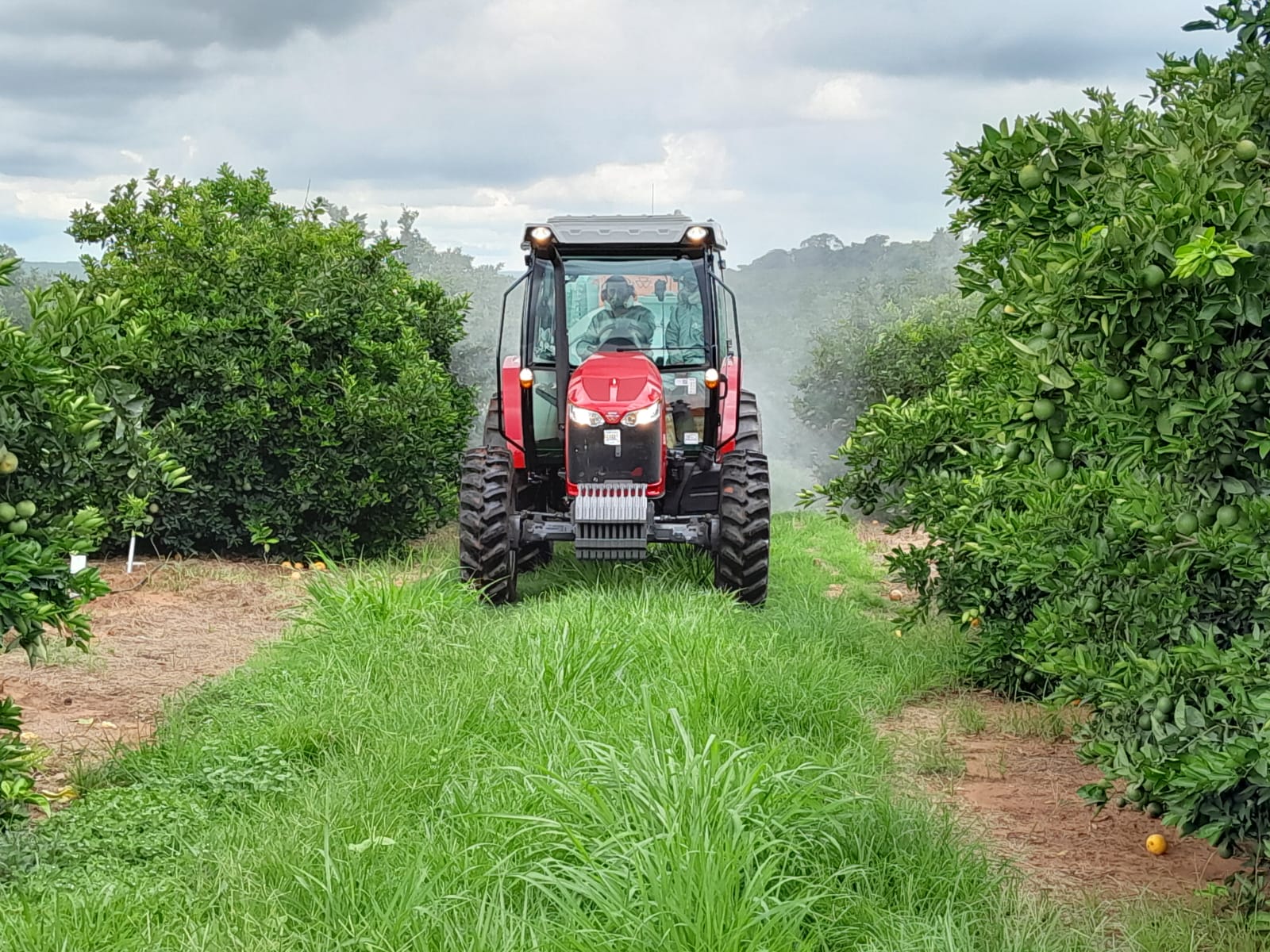 Tratores ganham protagonismo no processo de mecanização das lavouras de laranja